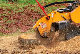 Best Tree and Shrub Care  in Lake Helen, FL